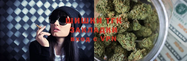 индика Волоколамск