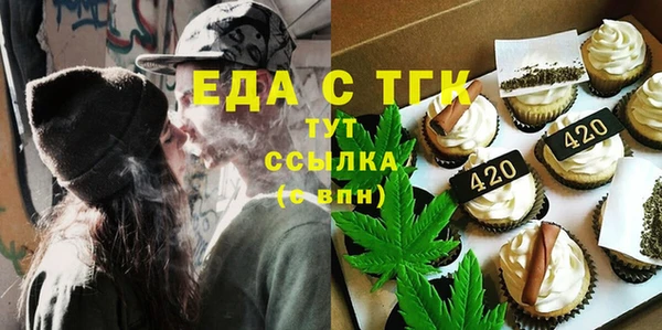 индика Волоколамск