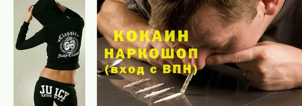 индика Волоколамск