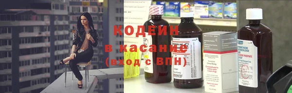 индика Волоколамск