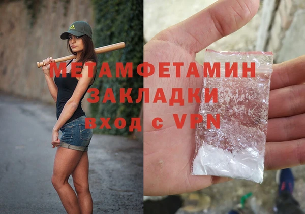 индика Волоколамск