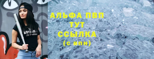 индика Волоколамск