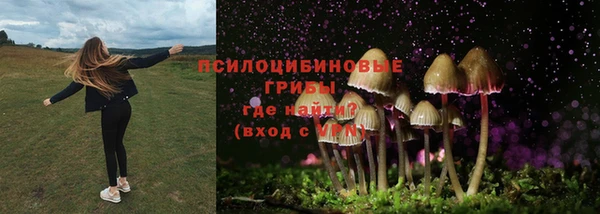 дживик Вязники