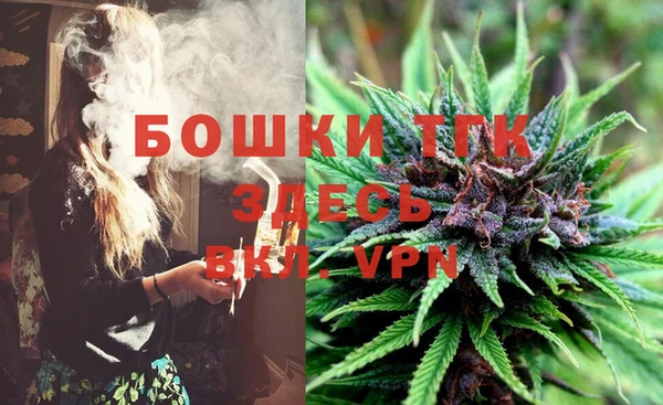 бошки Вяземский