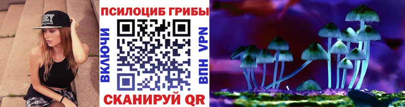 Купить  Петров Вал  Галлюциногенные грибы Psilocybine cubensis 